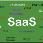 Software as a Service (SaaS) and Its Usage